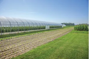 product-303-202 product-303-202